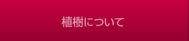 植樹について