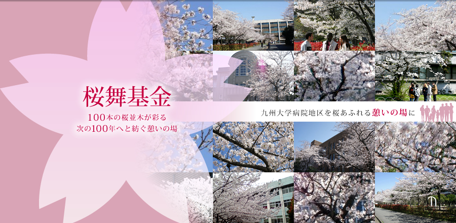 九州大学病院地区を桜あふれる憩いの場に