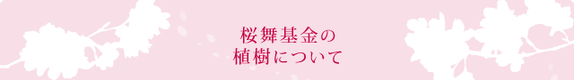 桜舞基金の植樹について