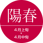 陽春 4月上旬→4月中旬